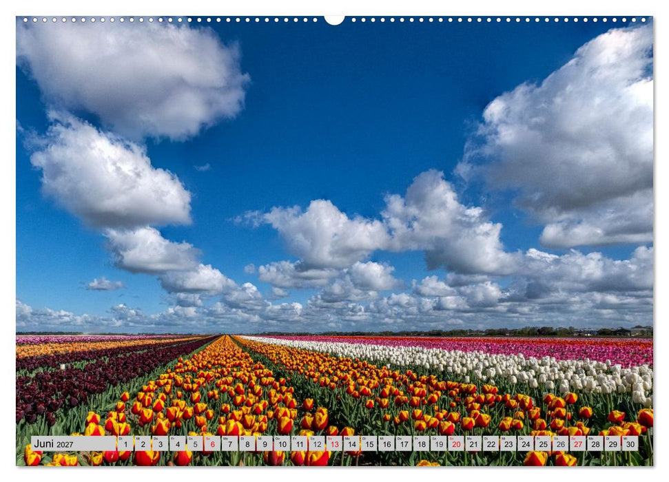 Im Zauber der Niederlande - Tulpenmeer und Windmühlen (CALVENDO Wandkalender 2027)