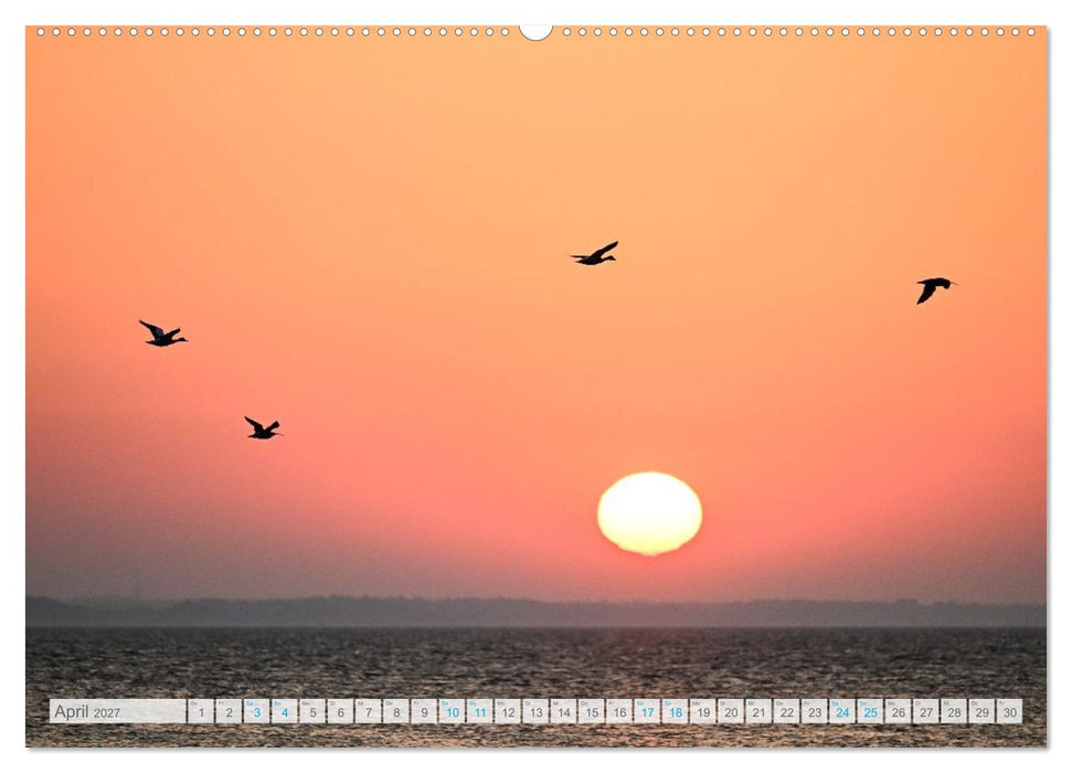 Durchatmen, entspannen und geniessen auf AMRUM Fantastische Stimmungsbilder (CALVENDO Premium Wandkalender 2027)