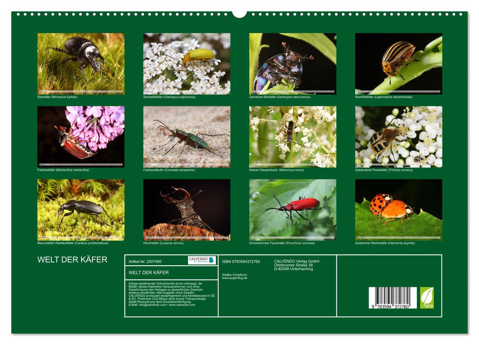 WELT DER KÄFER (CALVENDO Premium Wandkalender 2027)