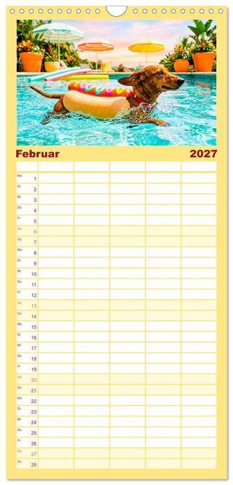 Hunde am Pool - Sommer, Spaß und nasse Pfoten (CALVENDO Familienplaner 2027)