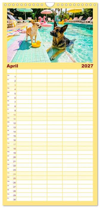 Hunde am Pool - Sommer, Spaß und nasse Pfoten (CALVENDO Familienplaner 2027)