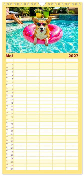 Hunde am Pool - Sommer, Spaß und nasse Pfoten (CALVENDO Familienplaner 2027)