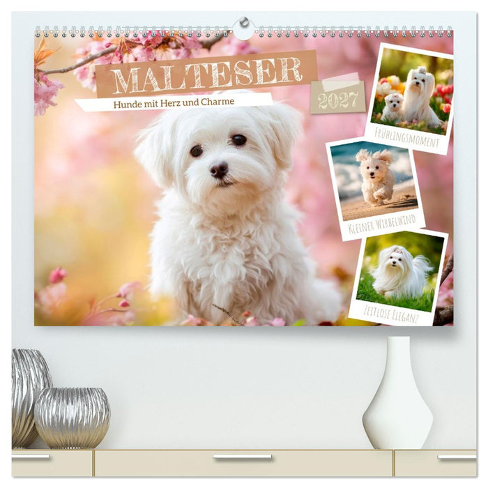Malteser - Hunde mit Herz und Charme (CALVENDO Premium Wandkalender 2027)