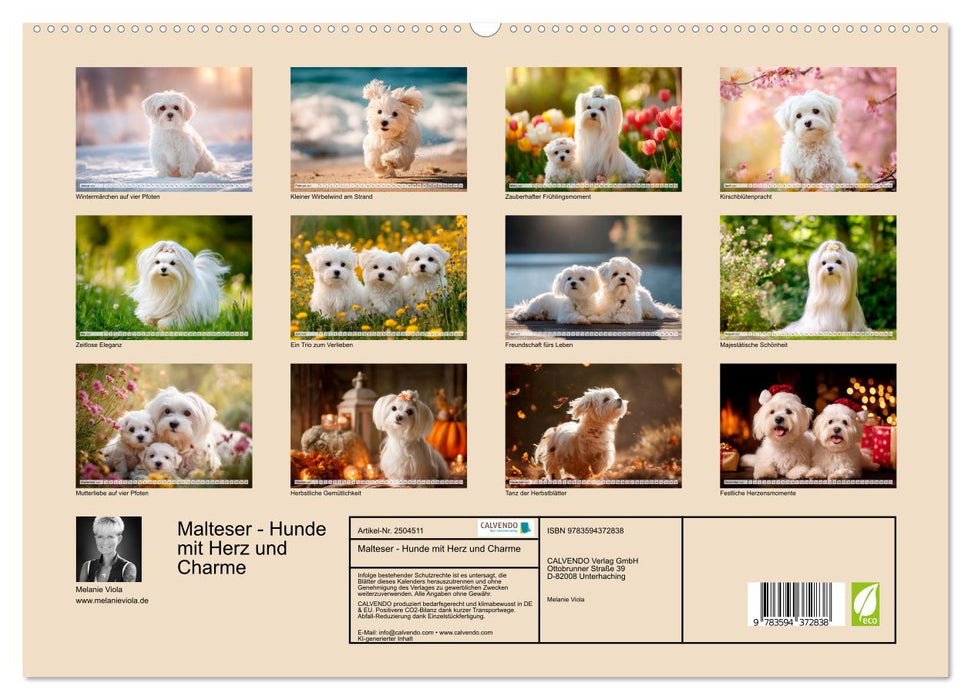 Malteser - Hunde mit Herz und Charme (CALVENDO Premium Wandkalender 2027)