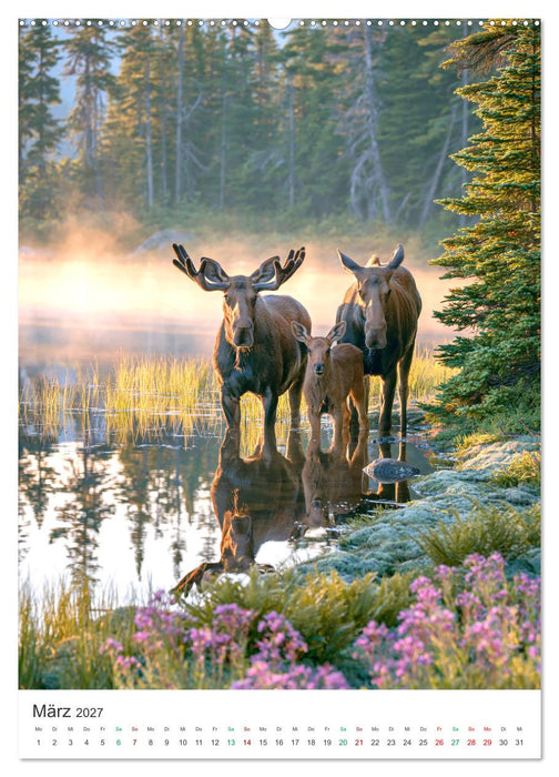 Wunder der Wildnis (CALVENDO Premium Wandkalender 2027)