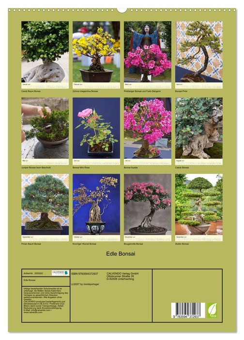 Edle Bonsai (CALVENDO Premium Wandkalender 2027)