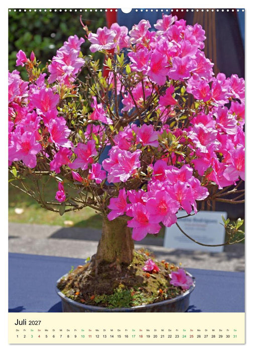 Edle Bonsai (CALVENDO Premium Wandkalender 2027)
