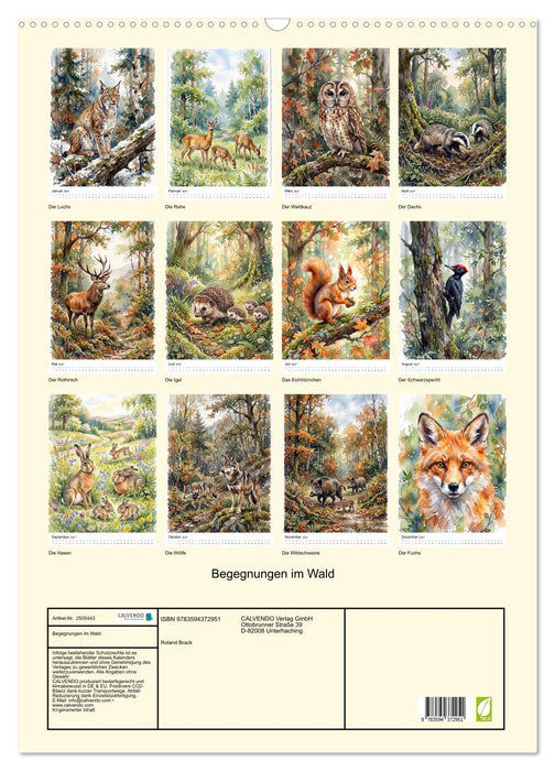 Begegnungen im Wald (CALVENDO Wandkalender 2027)