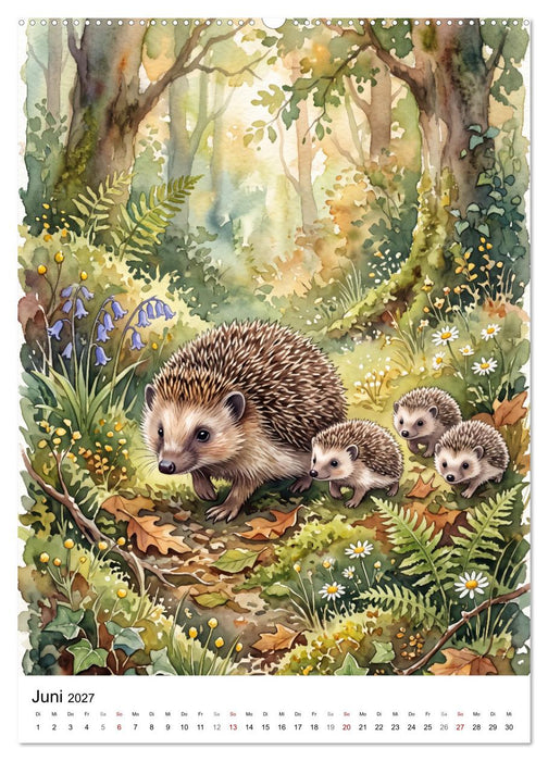 Begegnungen im Wald (CALVENDO Wandkalender 2027)