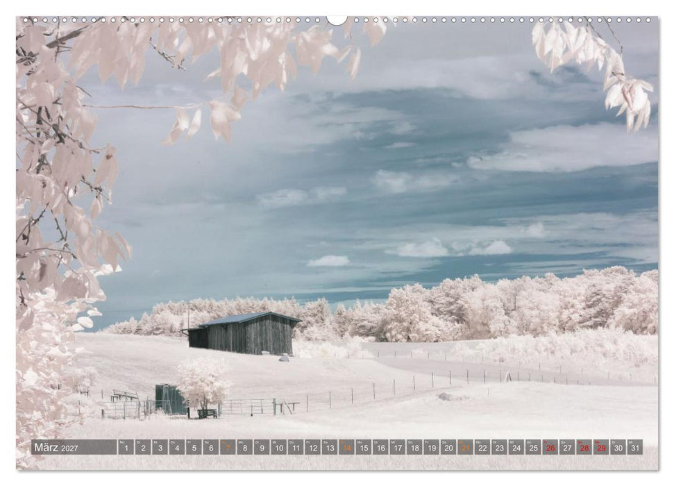 Lychen - zwischen Wald und Seen (CALVENDO Premium Wandkalender 2027)
