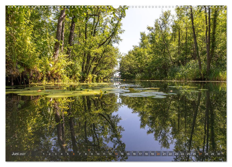 Lychen - zwischen Wald und Seen (CALVENDO Premium Wandkalender 2027)