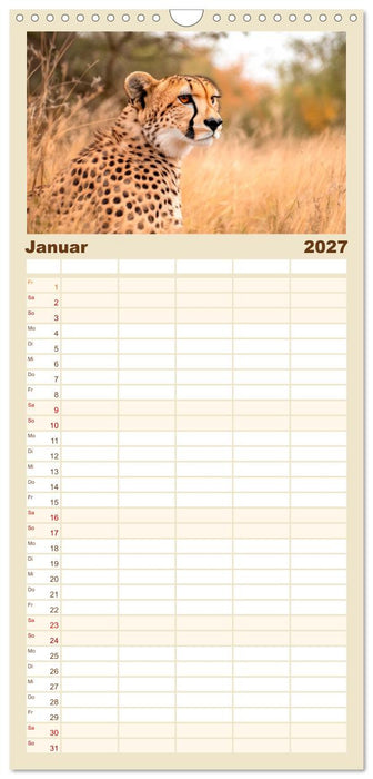 Geparden hautnah erleben (CALVENDO Familienplaner 2027)