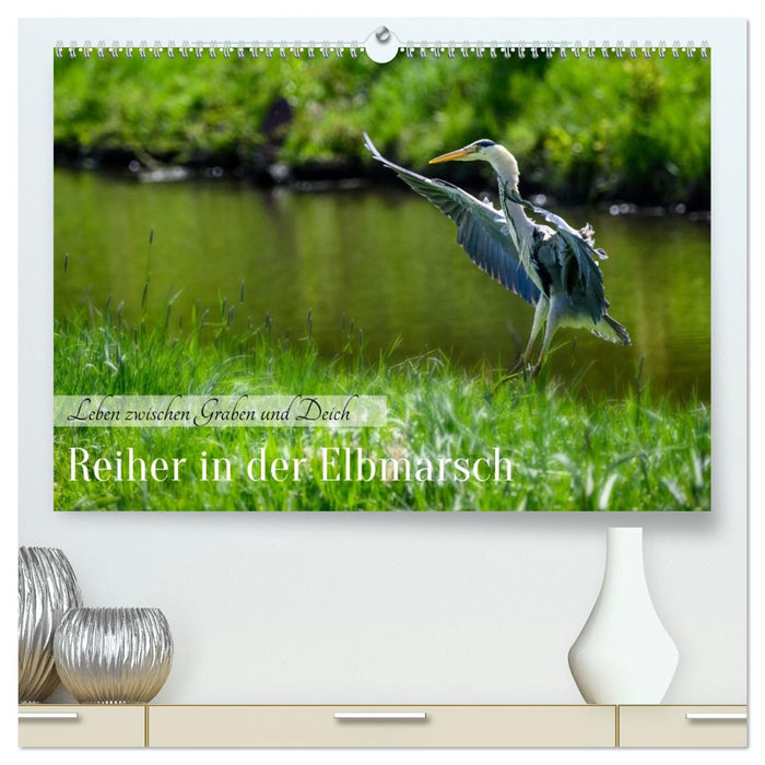 Reiher in der Elbmarsch (CALVENDO Premium Wandkalender 2027)