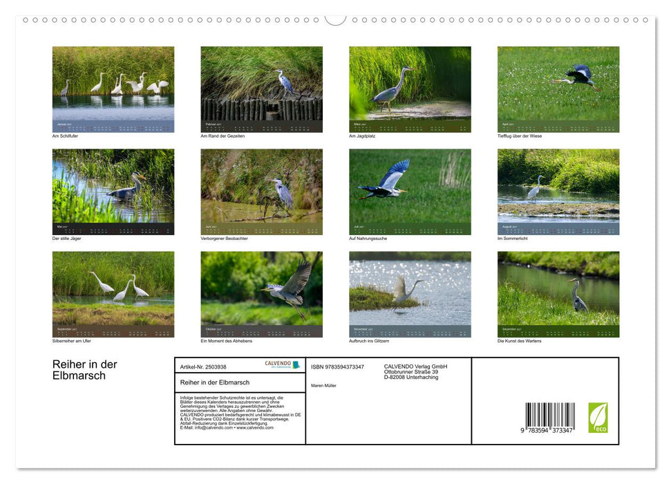 Reiher in der Elbmarsch (CALVENDO Premium Wandkalender 2027)