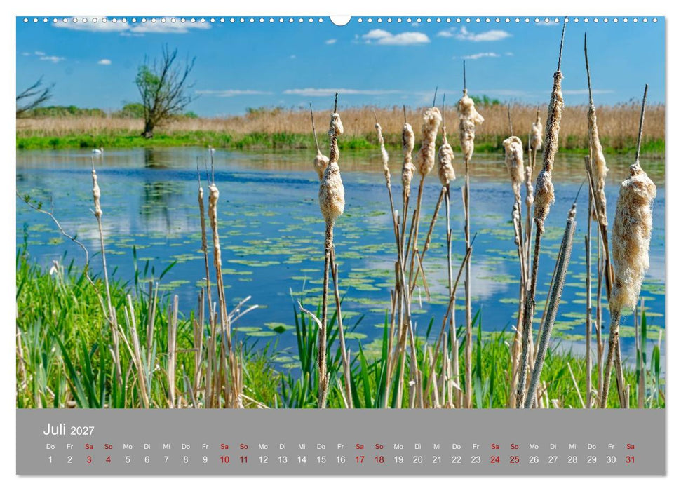 Nationalpark Unteres Odertal (CALVENDO Premium Wandkalender 2027)
