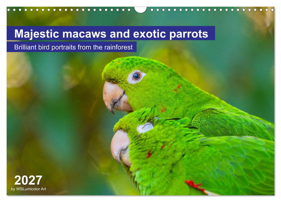 Macaws and colorful parakeets - Exotic parrot portraits (CALVENDO Monthly Calendar 2027)