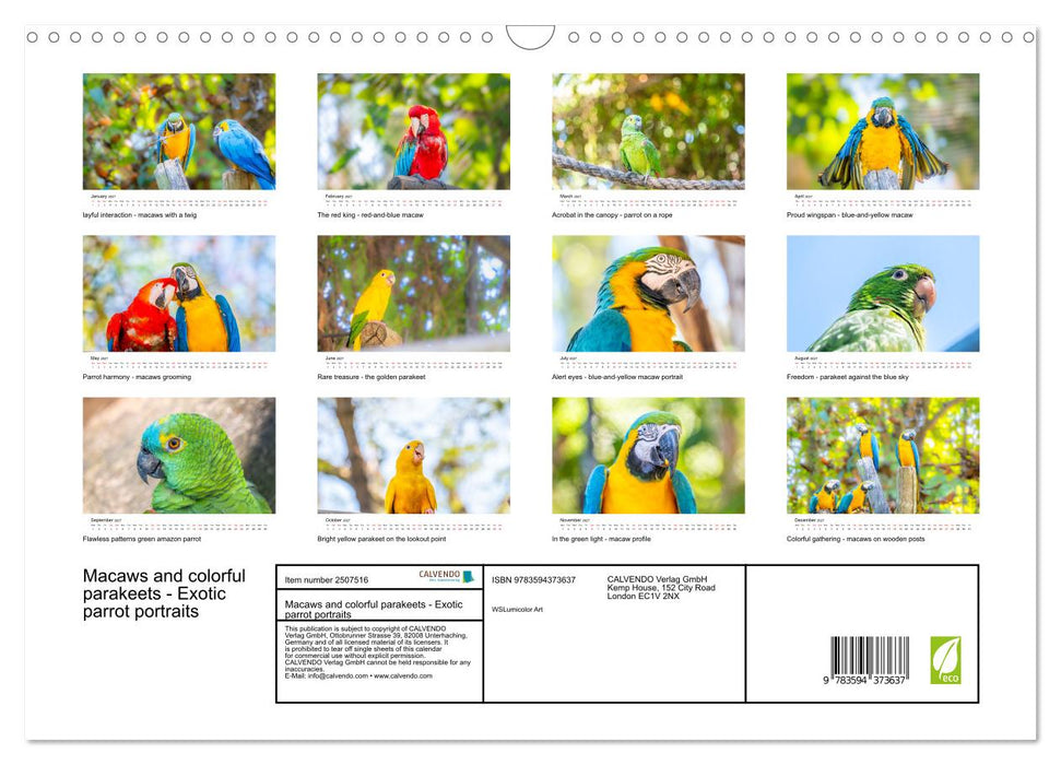 Macaws and colorful parakeets - Exotic parrot portraits (CALVENDO Monthly Calendar 2027)