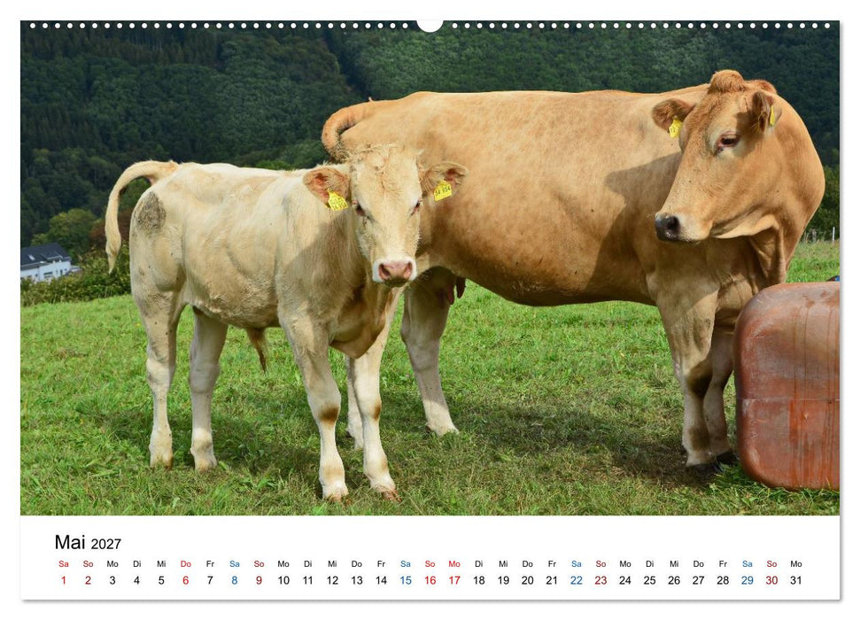 Dedenborn in der Nordeifel (CALVENDO Wandkalender 2027)