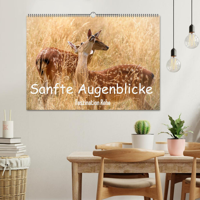 Sanfte Augenblicke, Faszination Rehe (CALVENDO Wandkalender 2027)