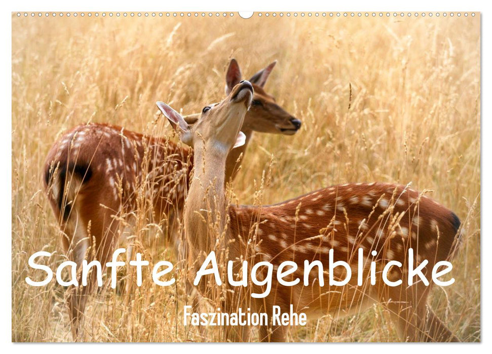 Sanfte Augenblicke, Faszination Rehe (CALVENDO Wandkalender 2027)
