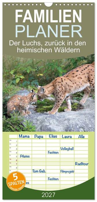 Der Luchs, zurück in den heimischen Wäldern (CALVENDO Familienplaner 2027)