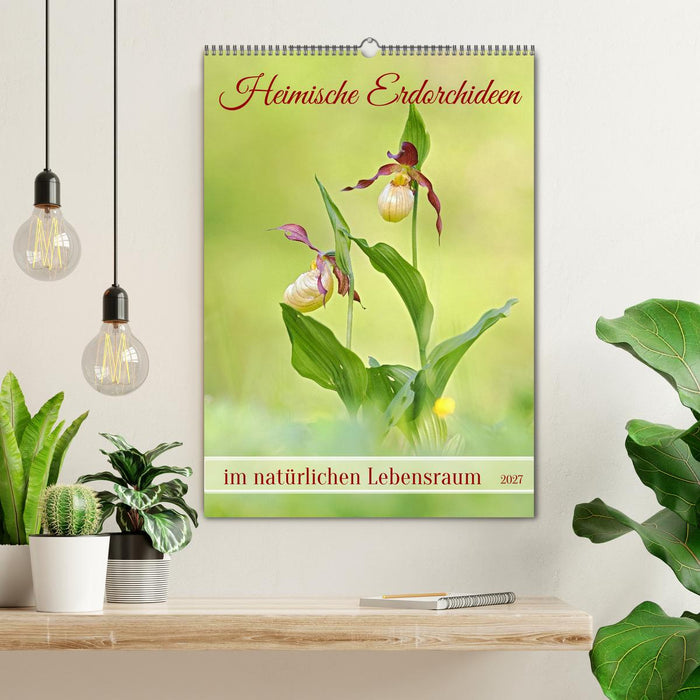 Heimische Erdorchideen im natürlichen Lebensraum (CALVENDO Wandkalender 2027)