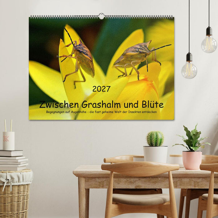 Zwischen Grashalm und Blüte (CALVENDO Wandkalender 2027)