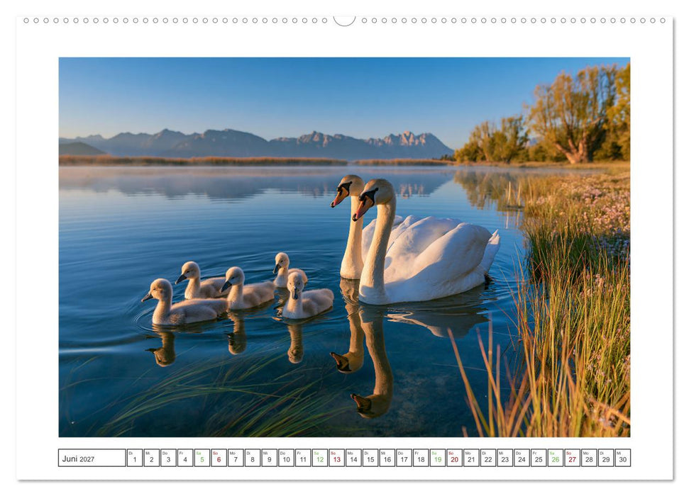 Im Herzen der Wildnis (CALVENDO Wandkalender 2027)