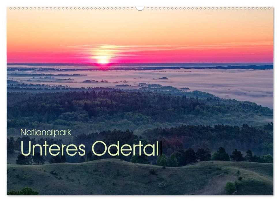 Nationalpark Unteres Odertal (CALVENDO Wandkalender 2027)