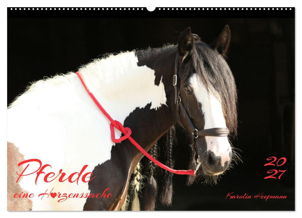 Pferde - eine Herzenssache (CALVENDO Wandkalender 2027)