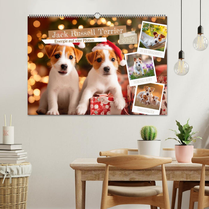 Jack Russell Terrier - Energie auf vier Pfoten (CALVENDO Wandkalender 2027)