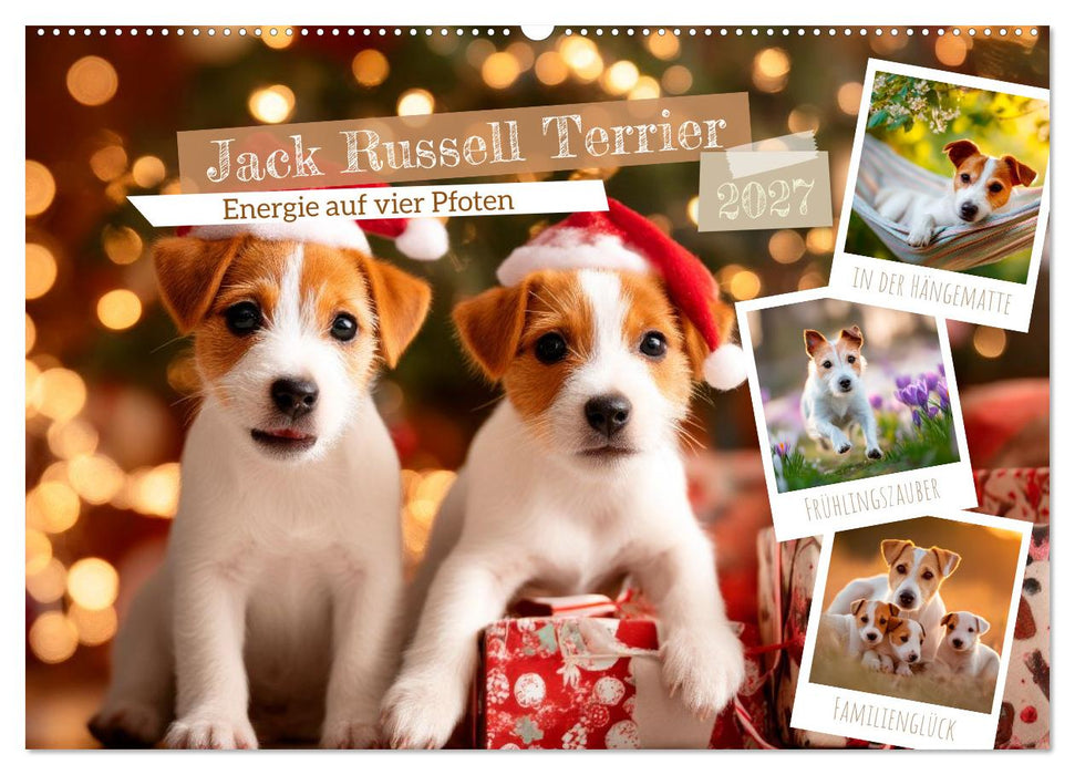 Jack Russell Terrier - Energie auf vier Pfoten (CALVENDO Wandkalender 2027)