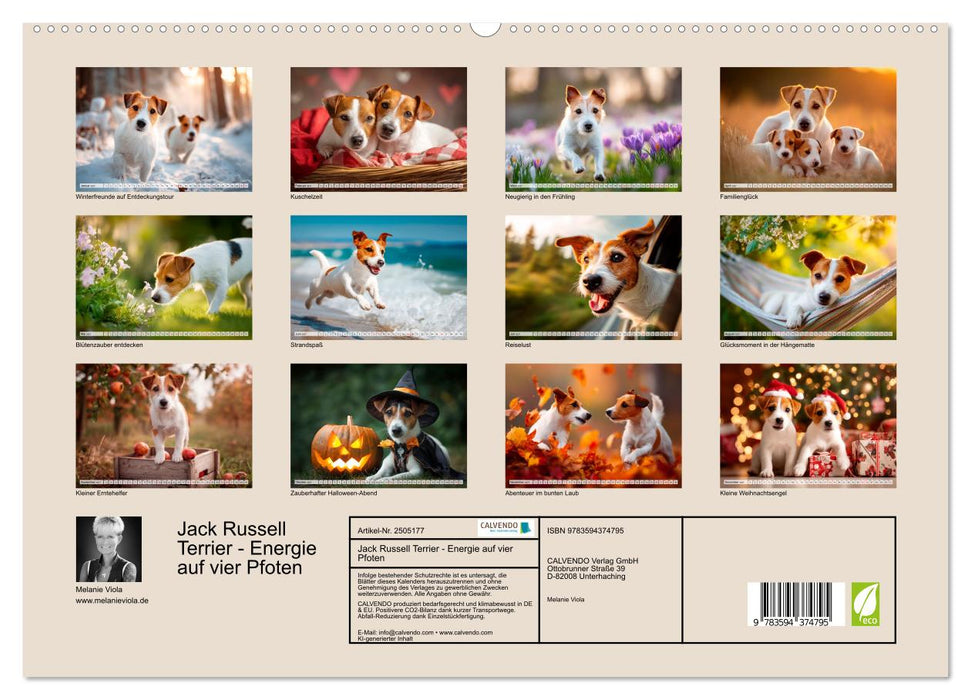 Jack Russell Terrier - Energie auf vier Pfoten (CALVENDO Wandkalender 2027)