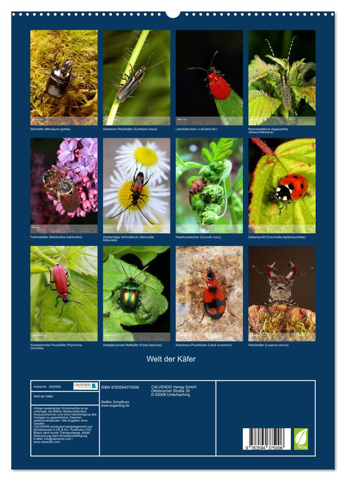 Welt der Käfer (CALVENDO Premium Wandkalender 2027)