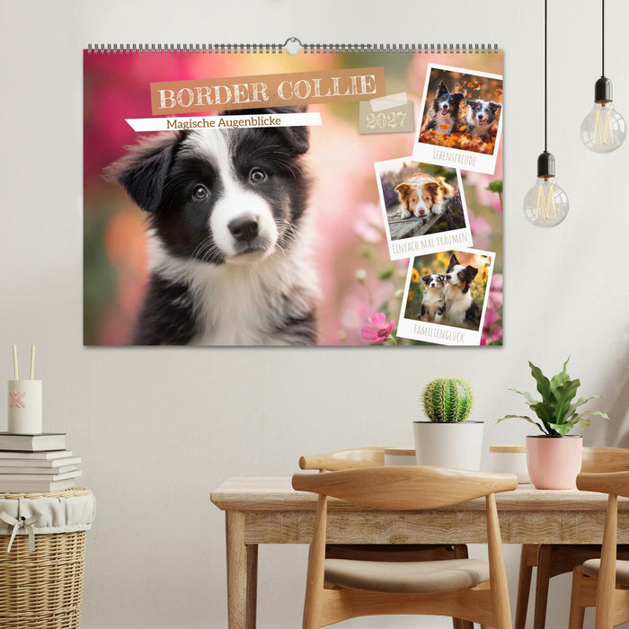 Border Collie - Magische Augenblicke (CALVENDO Wandkalender 2027)