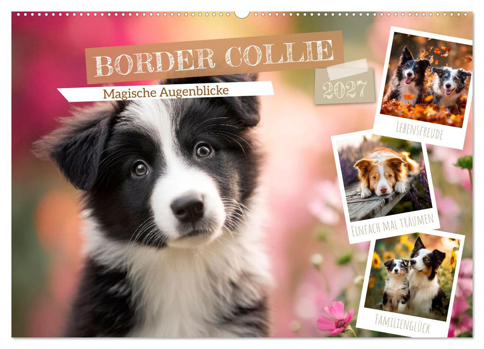 Border Collie - Magische Augenblicke (CALVENDO Wandkalender 2027)