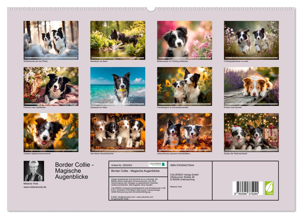 Border Collie - Magische Augenblicke (CALVENDO Wandkalender 2027)