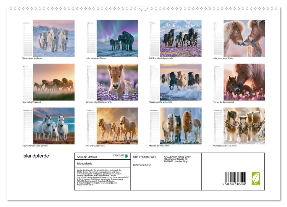 Islandpferde (CALVENDO Premium Wandkalender 2027)