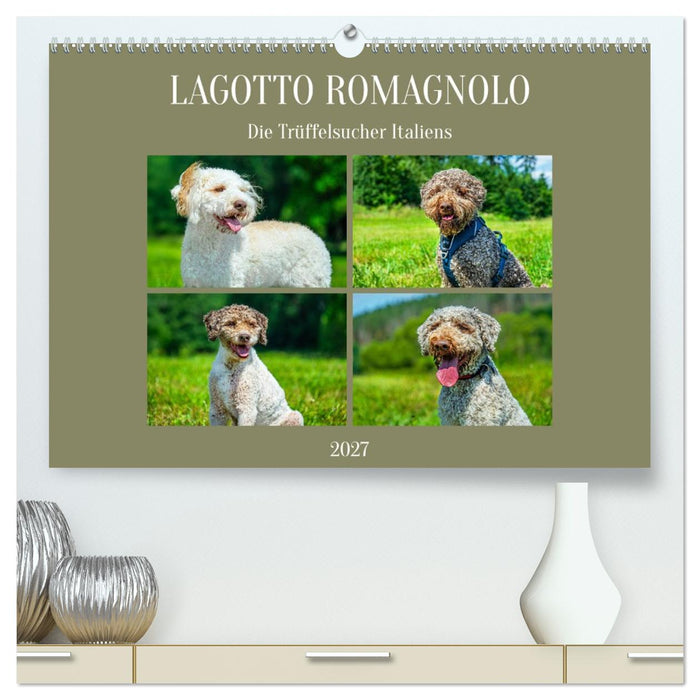 Lagotto Romagnolo - die Trüffelsucher Italiens (CALVENDO Premium Wandkalender 2027)