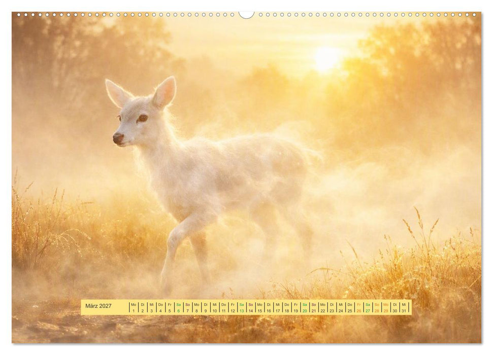 UNsichtbare Tiere - Eine poetische Sammlung aus Licht, Nebel und Fantasie (CALVENDO Wandkalender 2027)