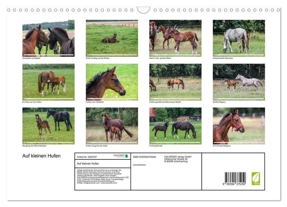 Auf kleinen Hufen (CALVENDO Wandkalender 2027)