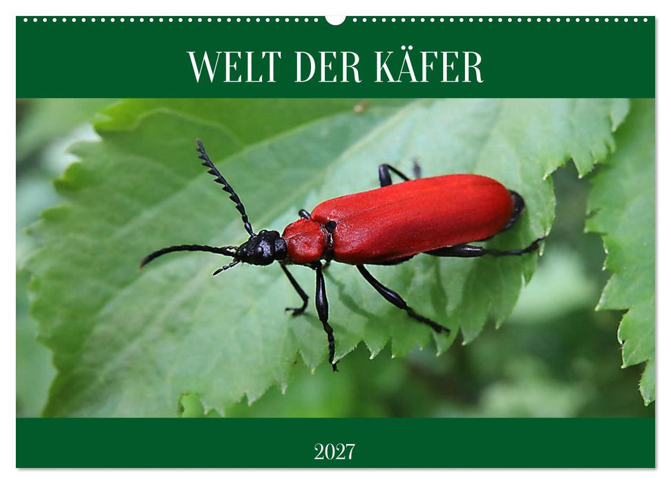 WELT DER KÄFER (CALVENDO Wandkalender 2027)