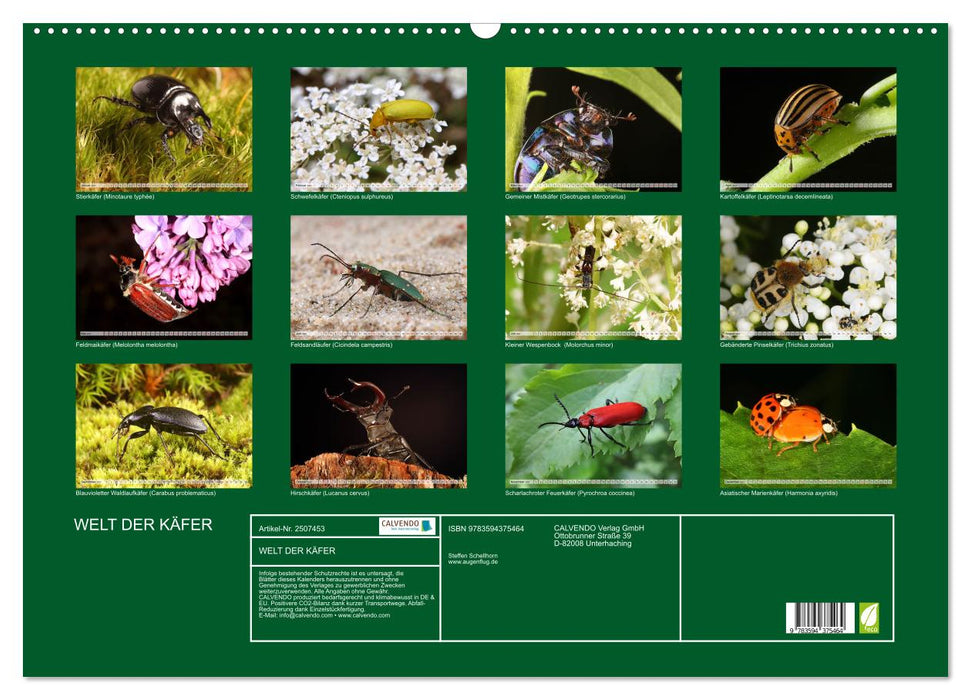 WELT DER KÄFER (CALVENDO Wandkalender 2027)