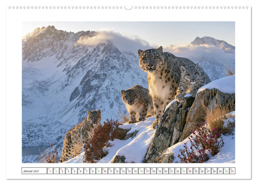 Im Herzen der Wildnis (CALVENDO Premium Wandkalender 2027)