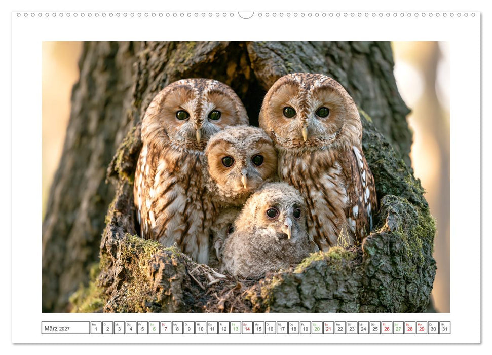 Im Herzen der Wildnis (CALVENDO Premium Wandkalender 2027)