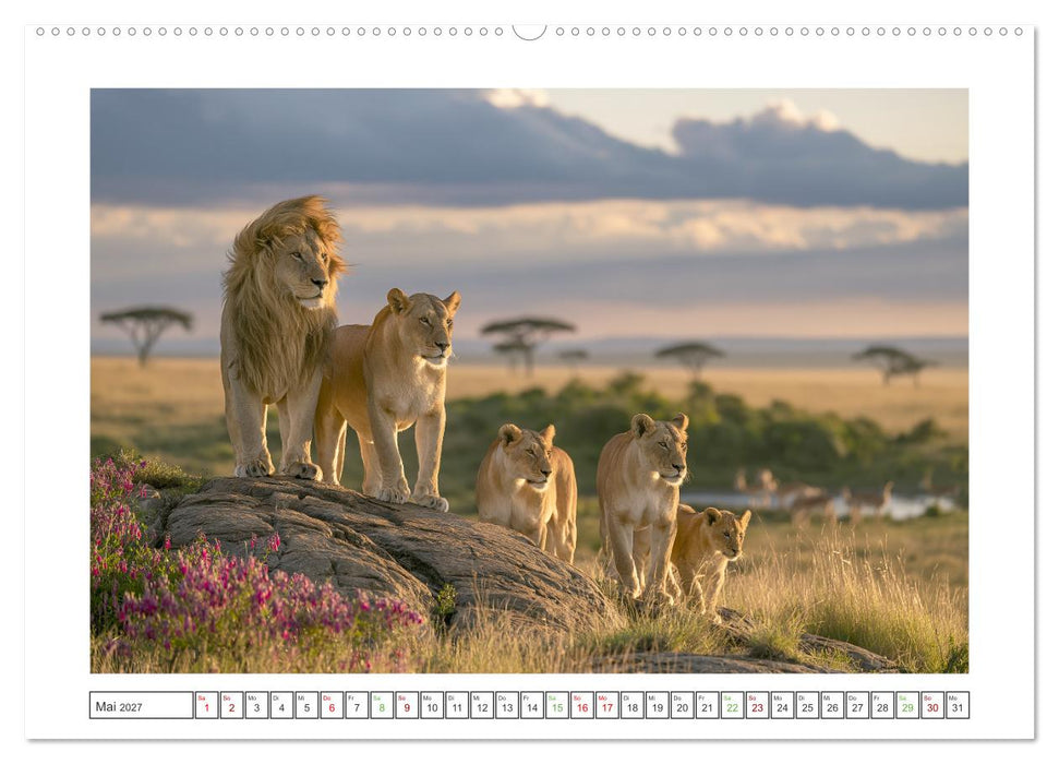 Im Herzen der Wildnis (CALVENDO Premium Wandkalender 2027)