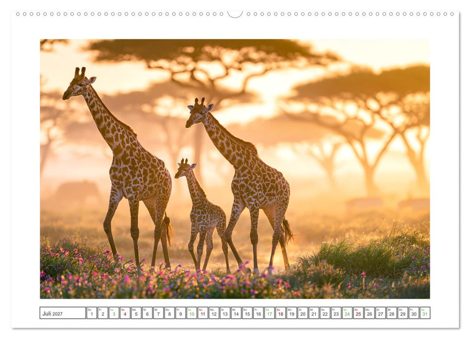 Im Herzen der Wildnis (CALVENDO Premium Wandkalender 2027)