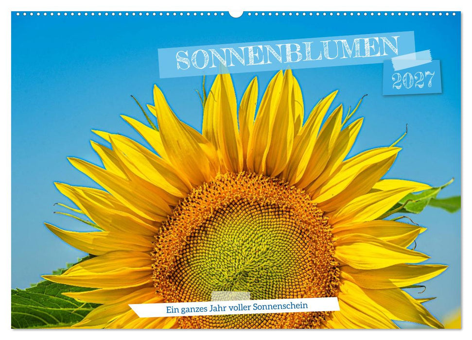 Sonnenblumen - ein ganzes Jahr voller Sonnenschein (CALVENDO Wandkalender 2027)