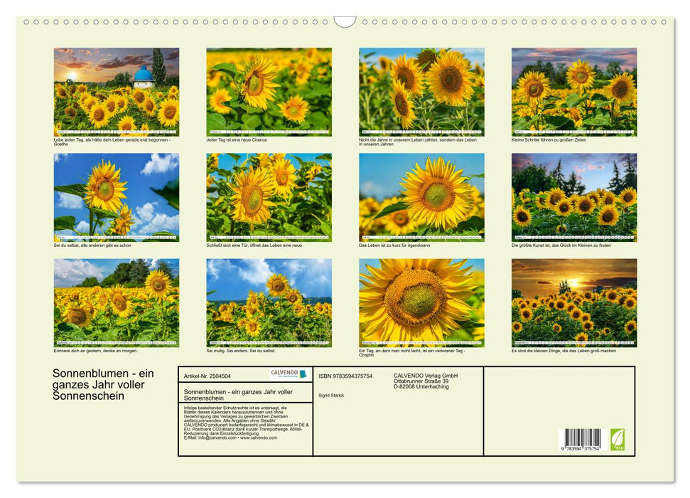 Sonnenblumen - ein ganzes Jahr voller Sonnenschein (CALVENDO Wandkalender 2027)