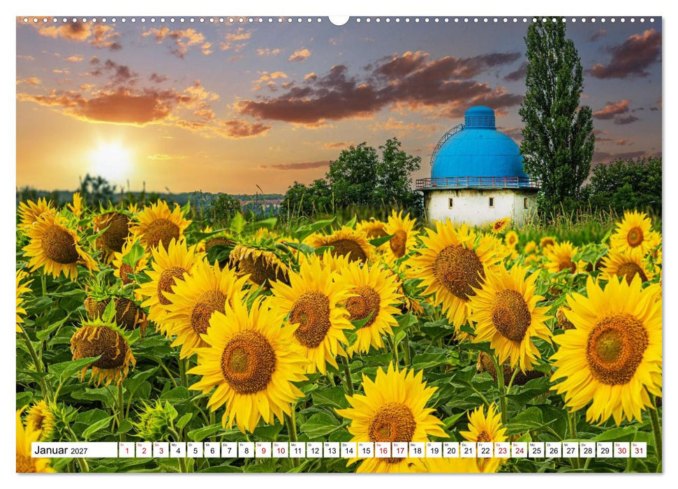 Sonnenblumen - ein ganzes Jahr voller Sonnenschein (CALVENDO Wandkalender 2027)